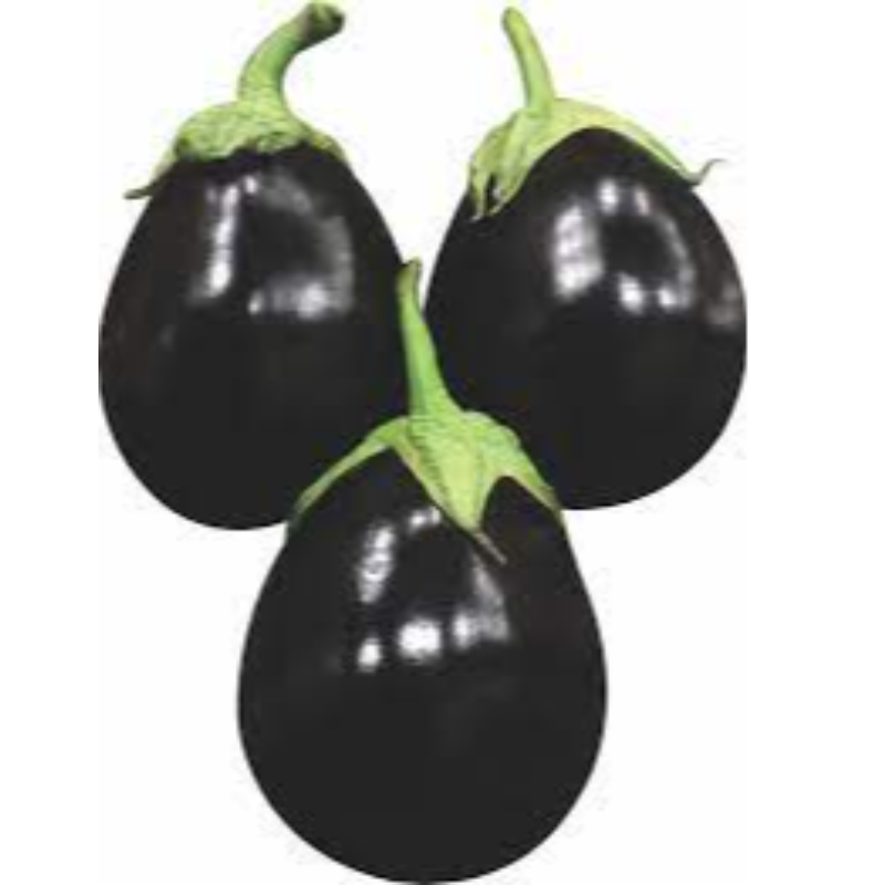  Big Brinjal Main Image